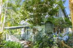 hoop-pine-montville-country-cabins