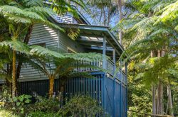 iron-bark-montville-country-cabins-2