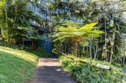 iron-bark-montville-country-cabins