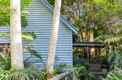 rose-gum-montville-country-cabins